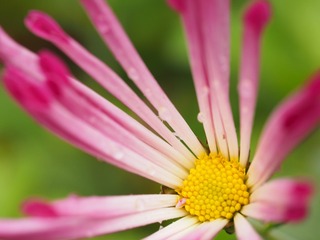 P1290202