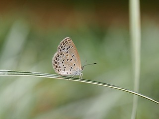 P5070665