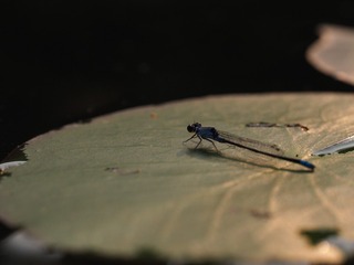 P5070734
