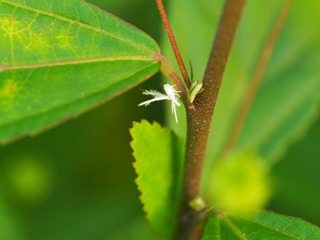 P5070741