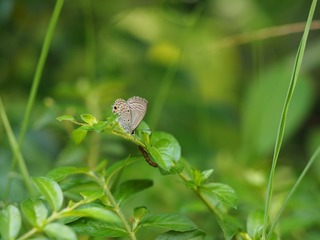 P6250784