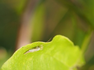P8280917