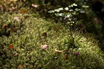 20151218-DSC_3351
