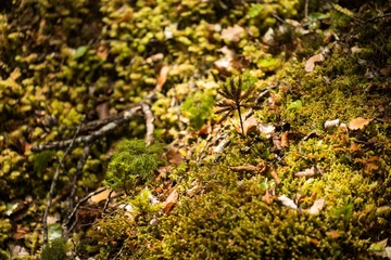 20151218-DSC_7390