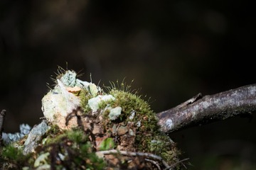 20151218-DSC_7403