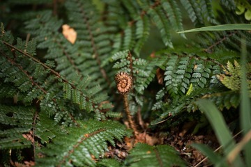 20151218-DSC_7412