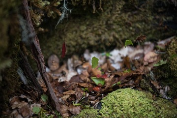 20151218-DSC_7413