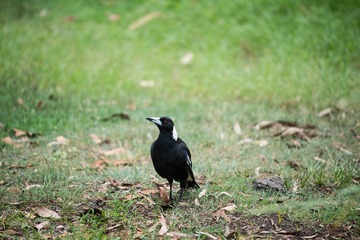 20151210-DSC_6276