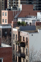 20121223-DSC_0480