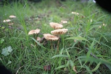 _MG_9178.JPG