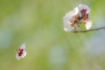 20170421-_DSC3457-编辑
