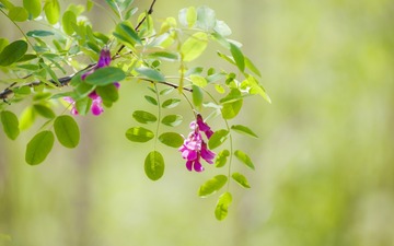 20170524-_DSC4126