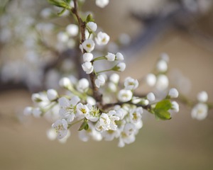 20170412-_DSC3304