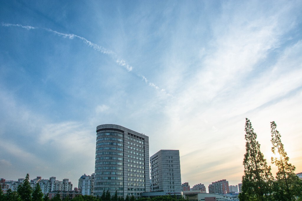 荷兰世界经济总量排名_世界地图荷兰(3)