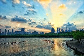 IMG_9574-01-01