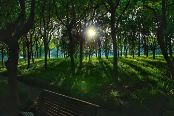 IMG_9419-01