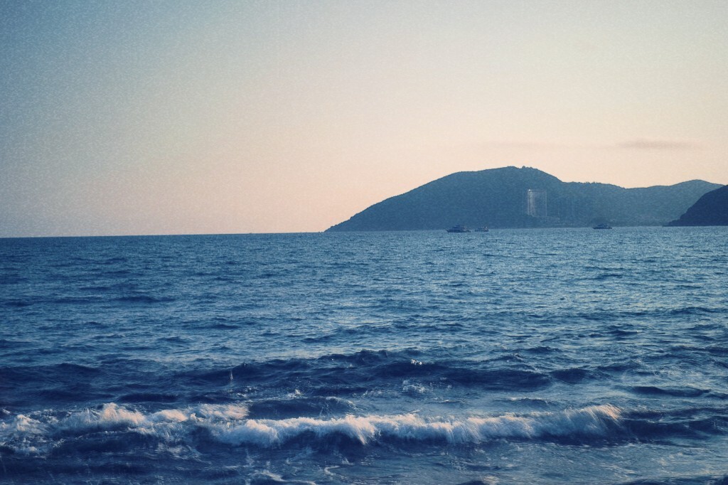 大东海6