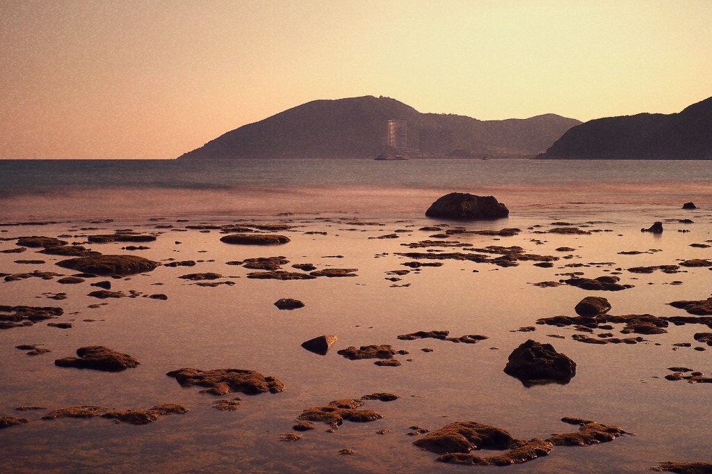大东海8