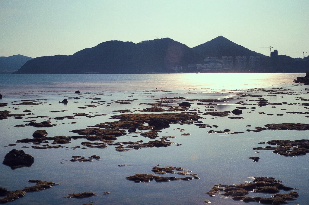 大东海9