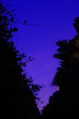 IMGP1657.jpg