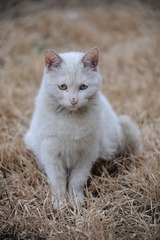 DSC_2298.jpg