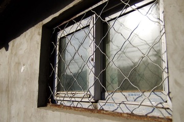 IMGP0249.JPG