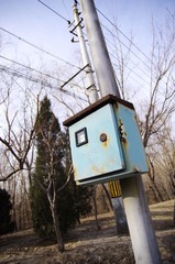 IMGP0272.JPG