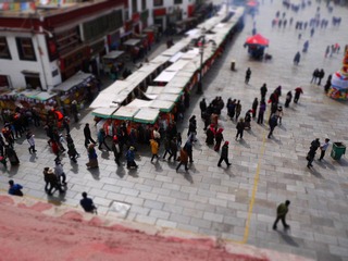 P1040089.JPG