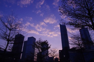 IMGP7031.JPG
