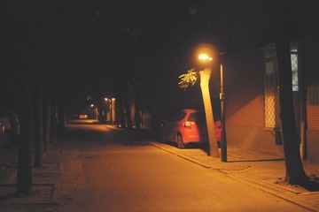P1130059
