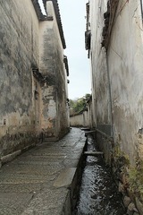 DPP_0276.JPG