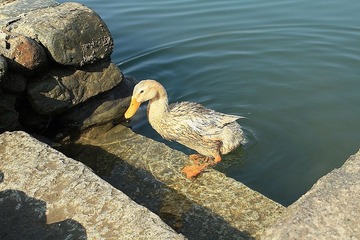 DPP_0376.JPG