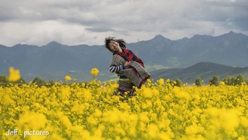 _DSC2738-编辑