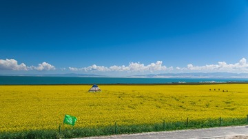 _DSC5364