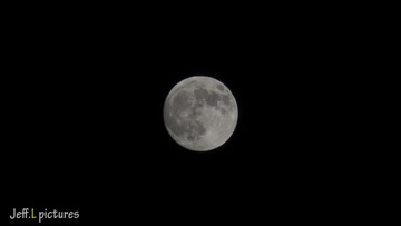 _DSC8047