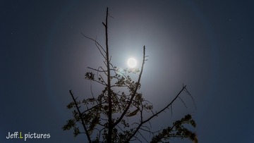_DSC8056
