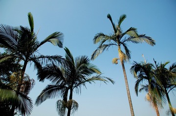 DSC_0277-1