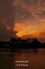 _DSC4459.jpg
