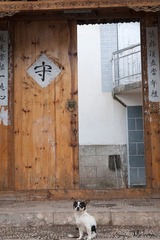 DSC_7961a.jpg