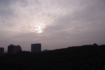 IMGP0307.JPG
