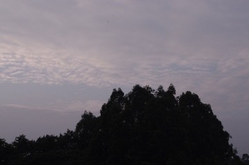 IMGP0329.JPG