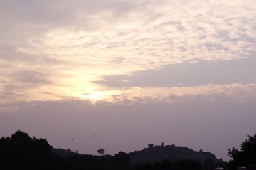 IMGP0330.JPG