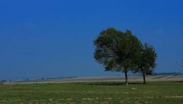 XZJ_4445.JPG
