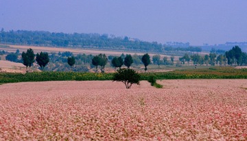 XZJ_4467.JPG