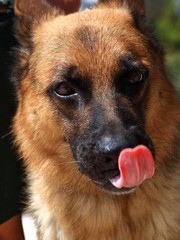 XZJ_8081.jpg