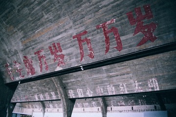 HGX_7882
