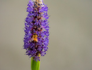 P1010265