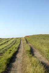 P5150441