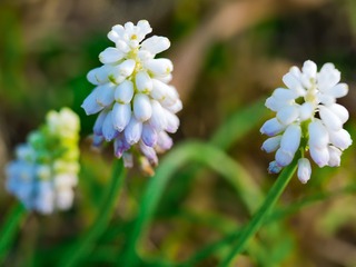 P1080937