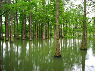 P5010559